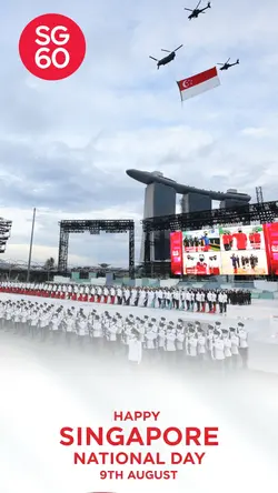 singapore national d