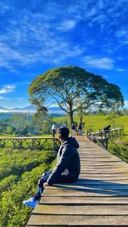 HD + JERNIH 