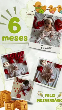 6 meses
