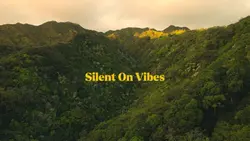 Silent On Vibes