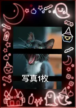 ハロウィン猫ちゃん
写真1枚