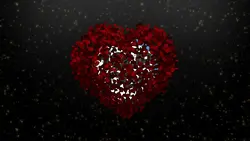 petals of love ¹¹