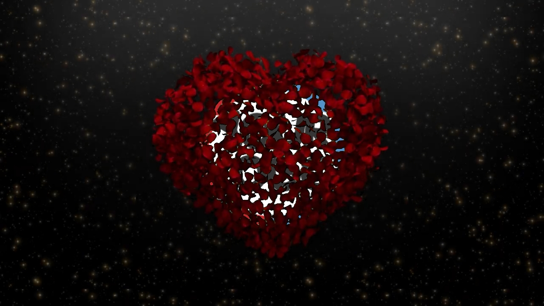 petals of love ¹¹
