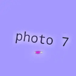zdjęcia-photos