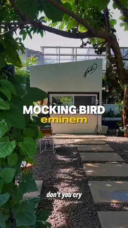 MOCKING BIRD