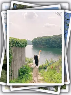 8PicPhotosTransition