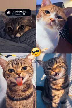 4 foto aesthetic kec