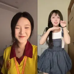 2 parallel videos