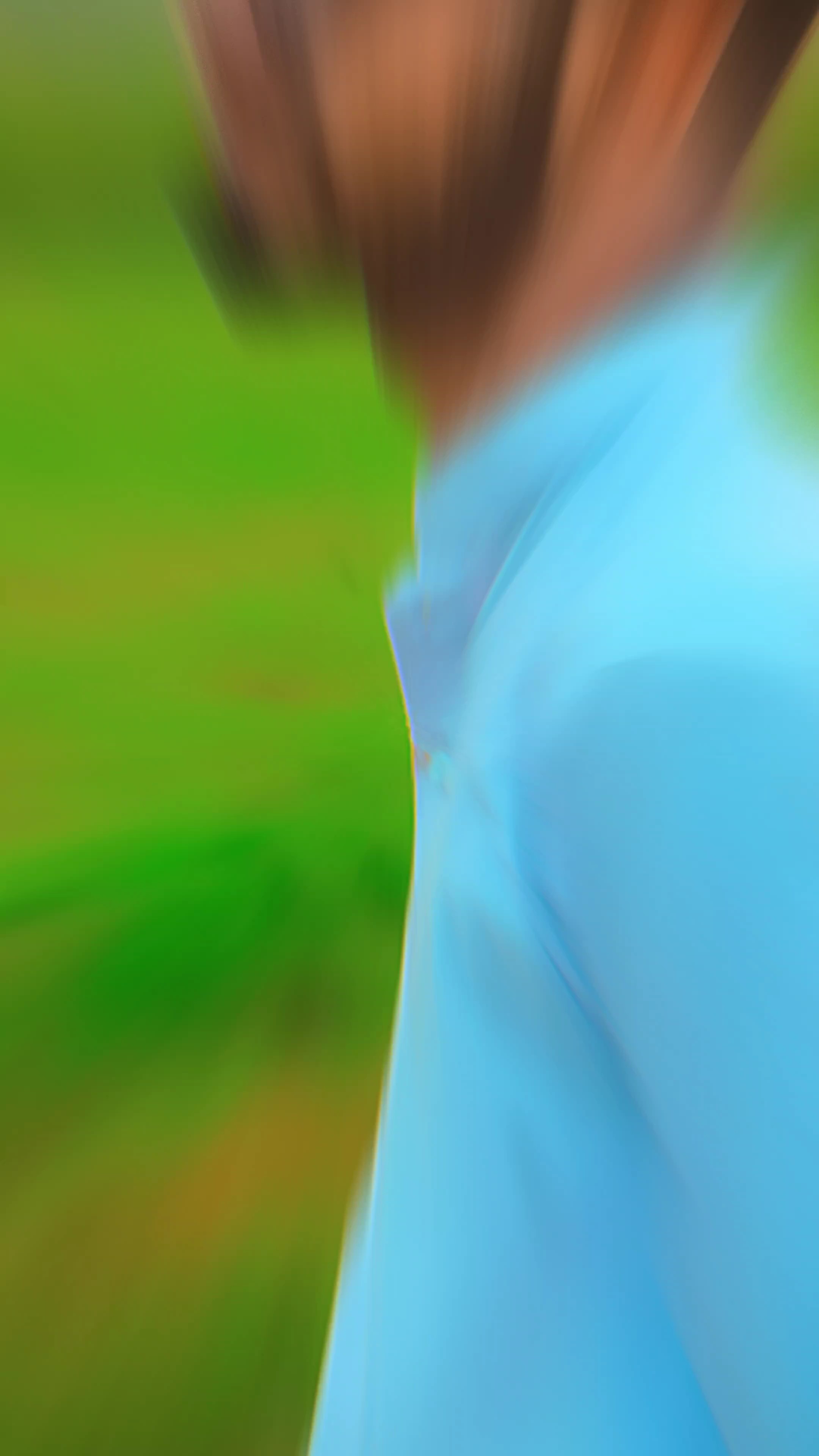 Zullfan Dy Jaal Tary