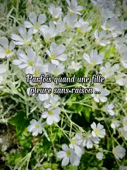 Parfois…