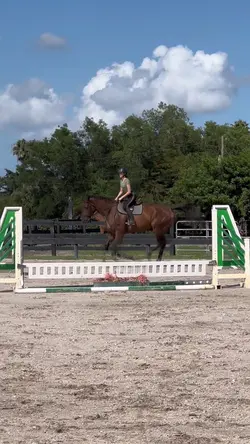 beauuu ⚠️FAKE⚠️