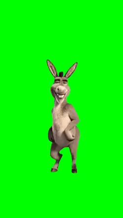 DONKEY DANCING