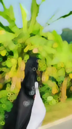 slowmo slowmotion