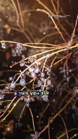 하루명언 노래작업