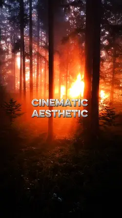Aesthetic florest