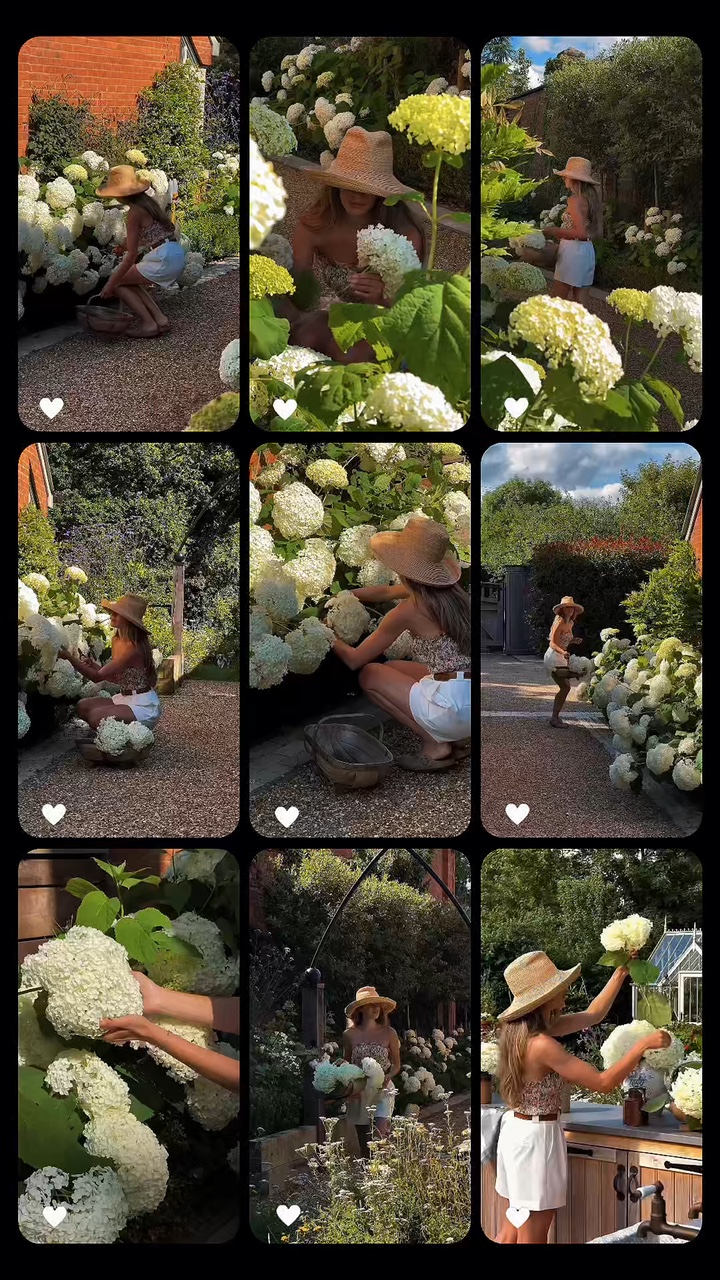 Jardinería