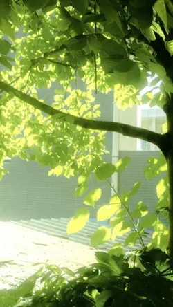 2 Ảnh nhạc Nhật