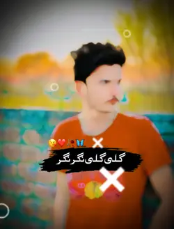 گلی گلی نگر نگر 