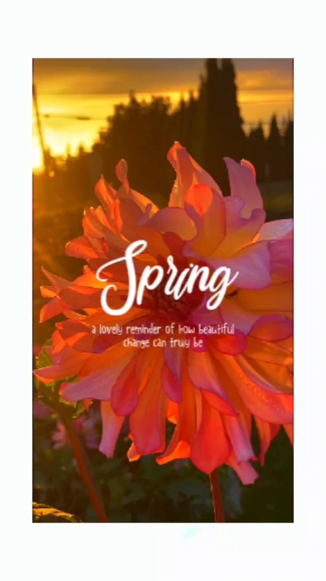 Hallo Frühling 