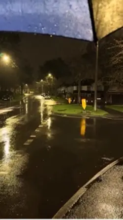 نمی‌دونم 🖤🙂