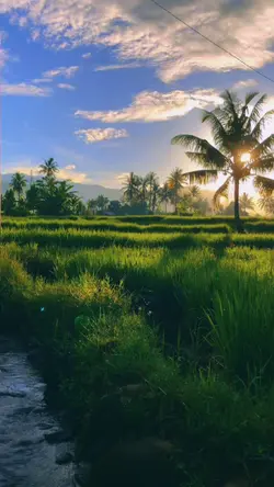 suasana alam