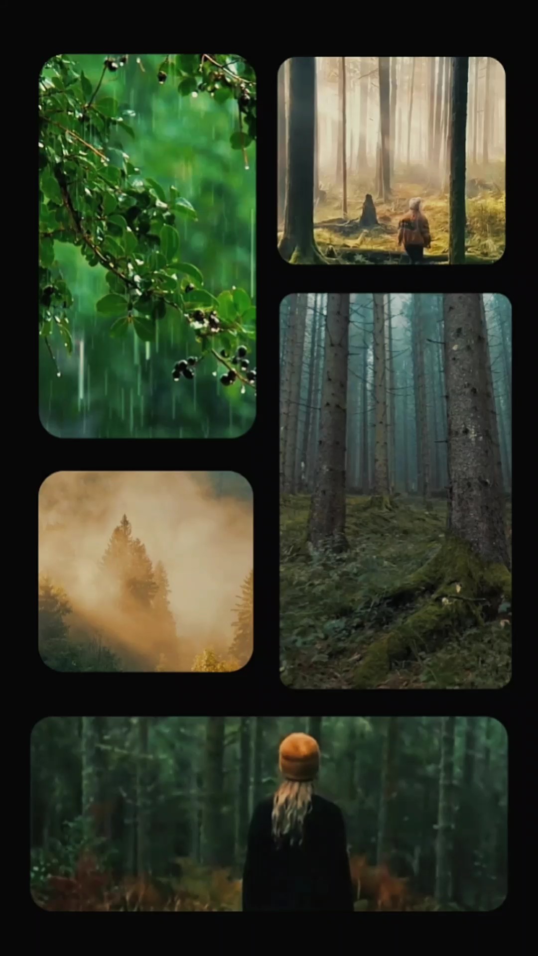 beautiful nature