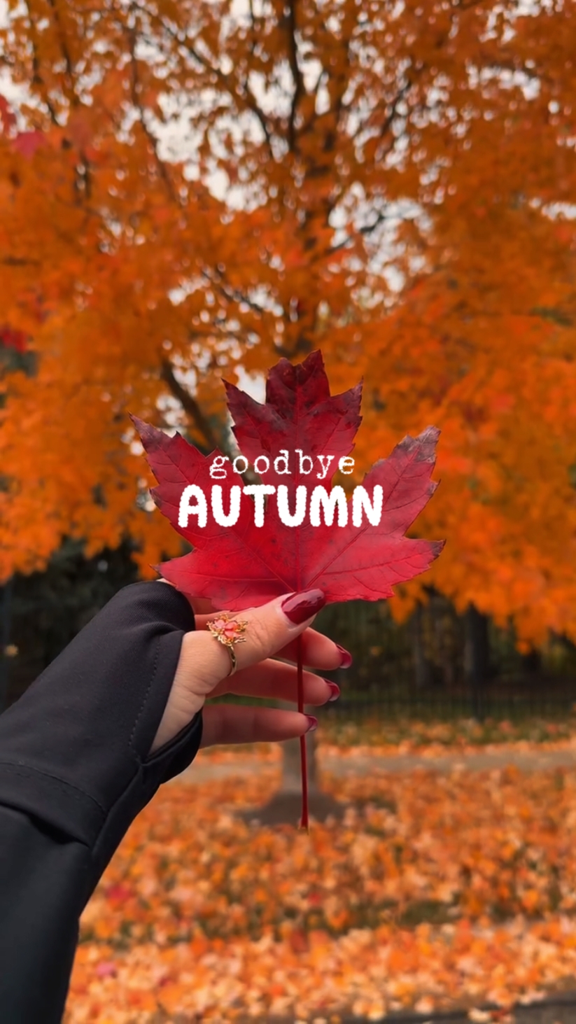 goodbye autumn 
