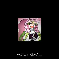 VOICE REVAL!