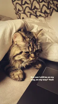 cheating on you