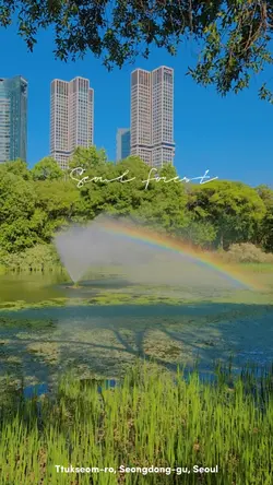 Seoul Forest Park