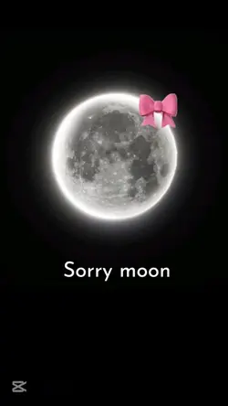 sorry moon aesthetic