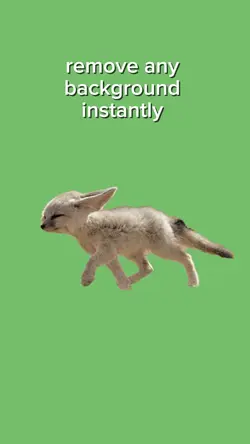 remove background