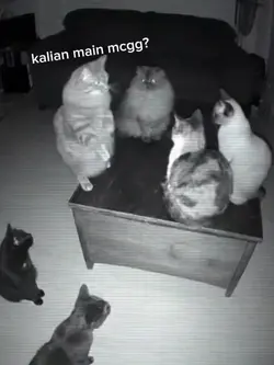 Versi Diggie