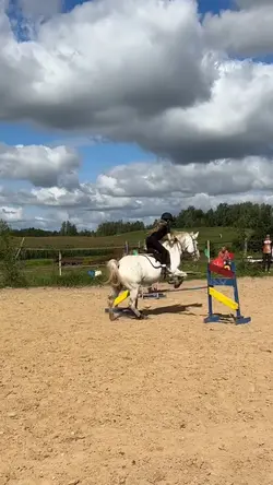 help we crashed 😭