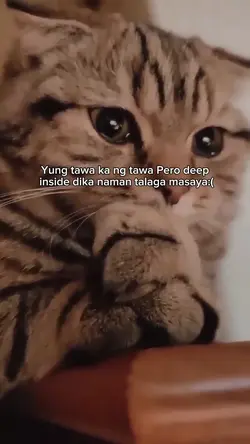 Ako yan