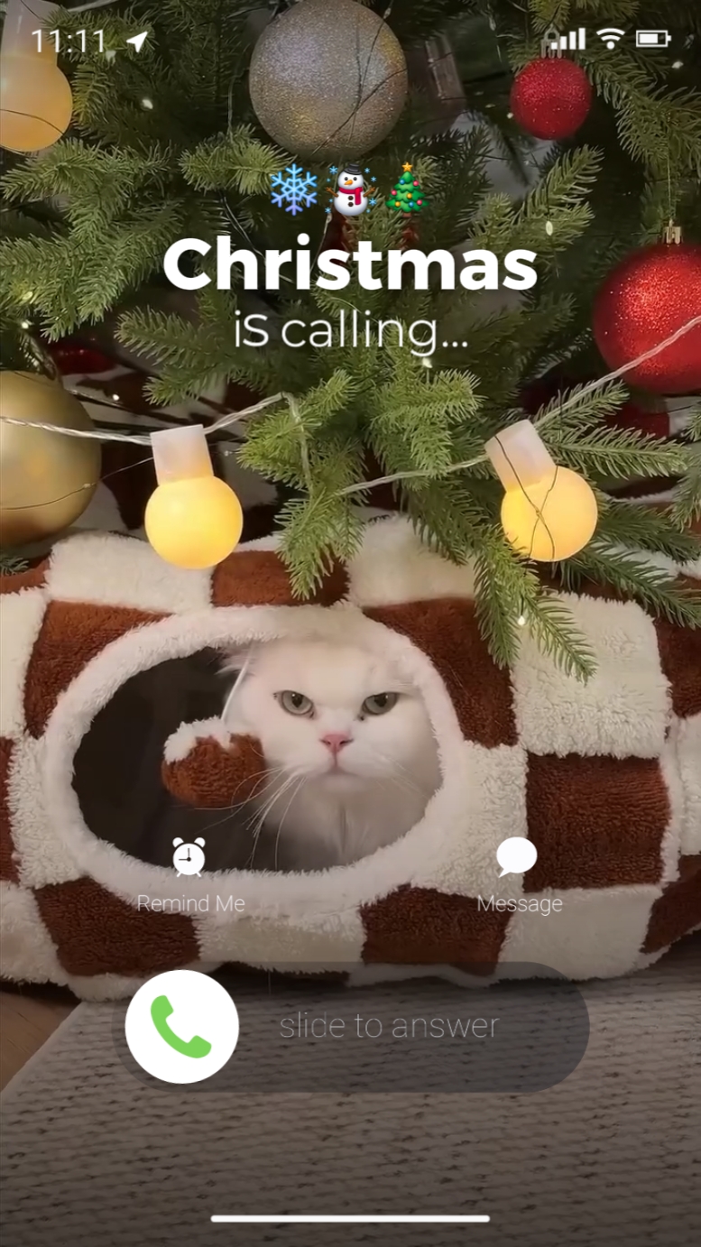 Christmas is coming 