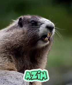 AZIM
