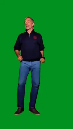 stein groove