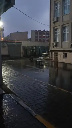 Ben seni sevduğumi