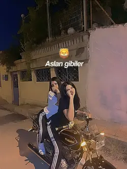aslan gibiler 