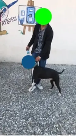 Pablo Zıplamışkio