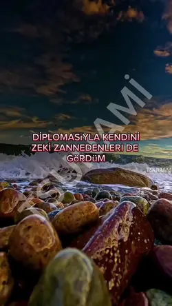 SADECE SES ŞABLONU