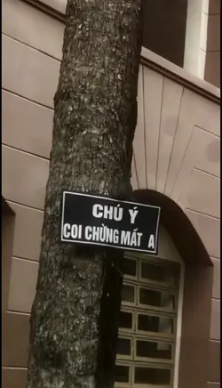 Ch ý coi chừng mất a