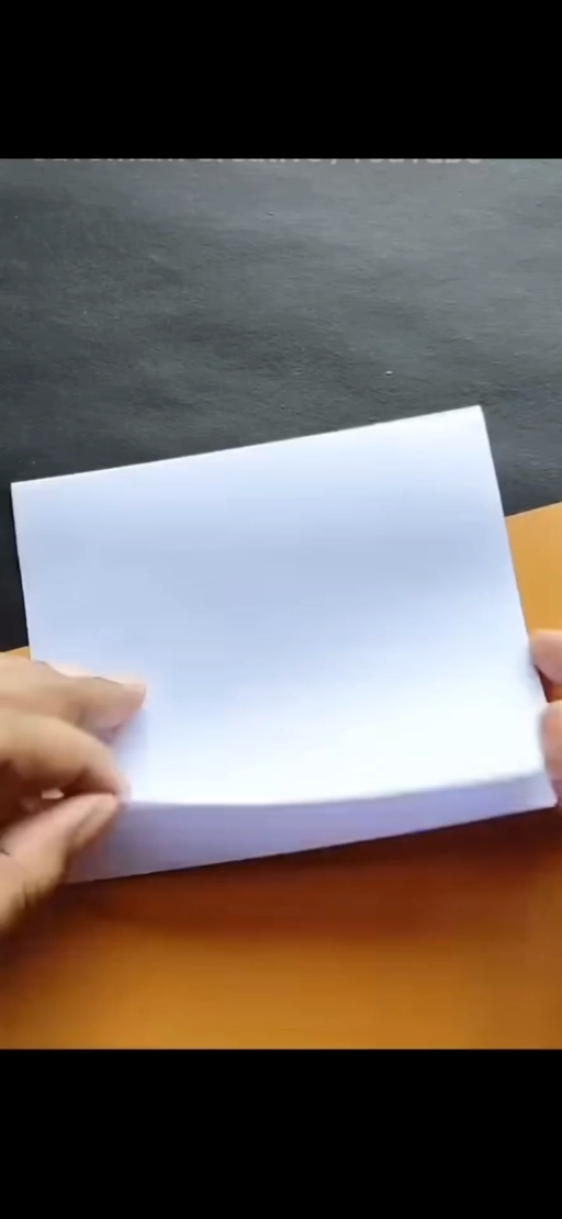 NUEVO TEMPIATE DE EDICIÓN