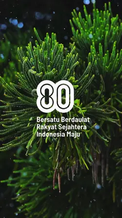 HUT RI KE 80