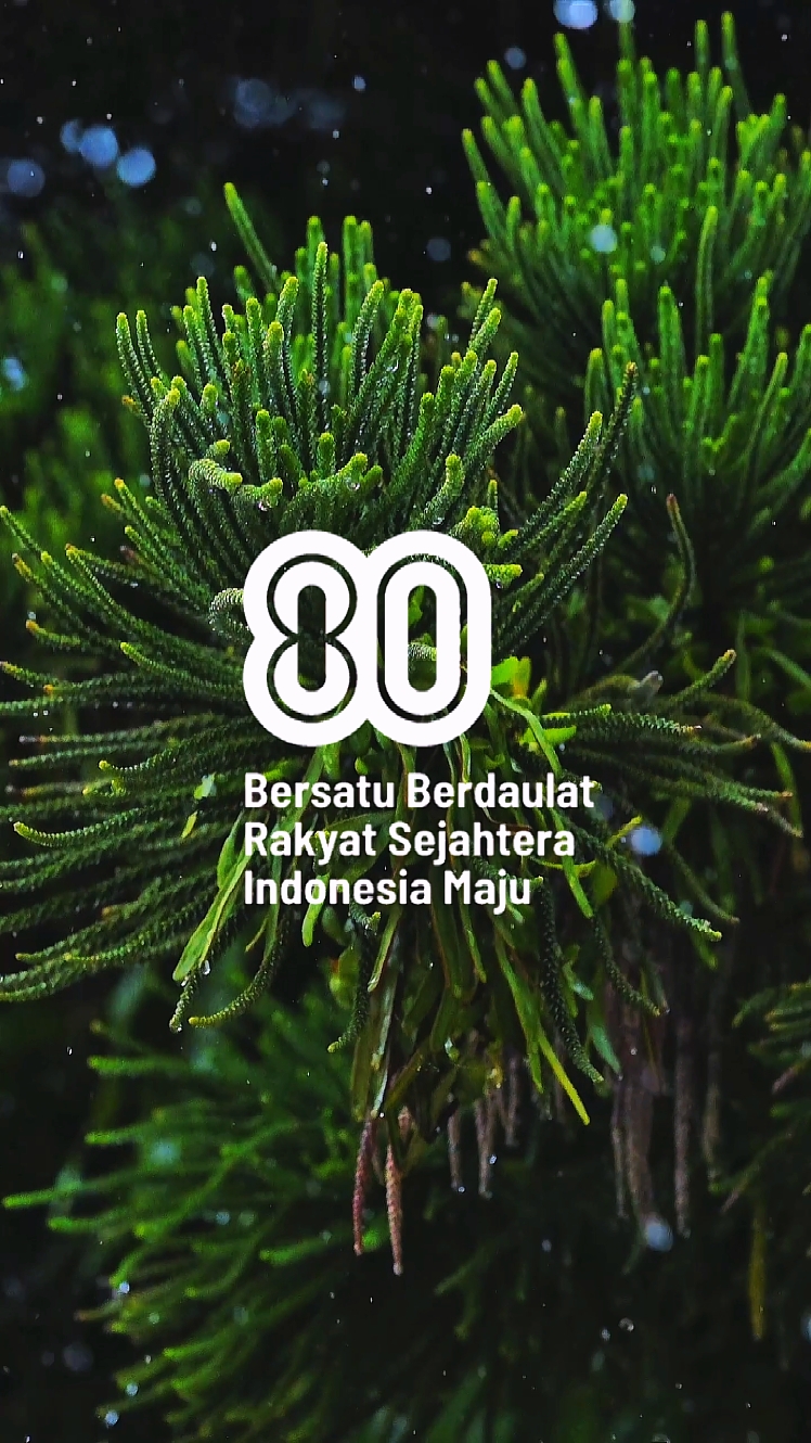 HUT RI KE 80