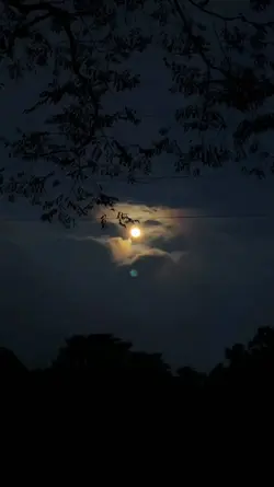 gudang mentahan