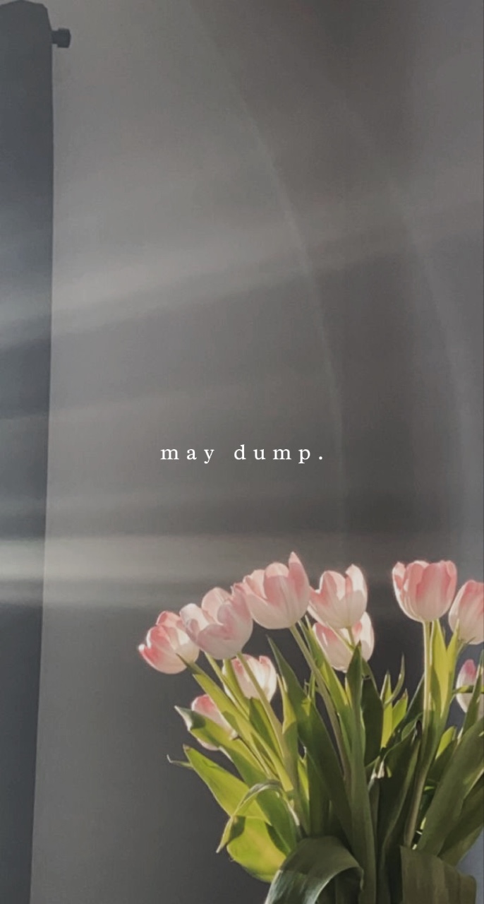 may dump 20 pic