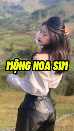 MỘNG HOA SIM REMIX 