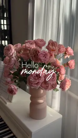 Hello Monday